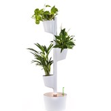 Jardinière verticale d'intérieur avec plantes purificatrices d'air 7