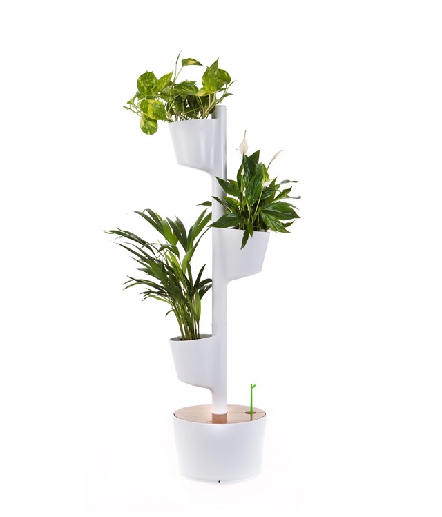 Jardinière verticale d'intérieur avec plantes purificatrices d'air 7