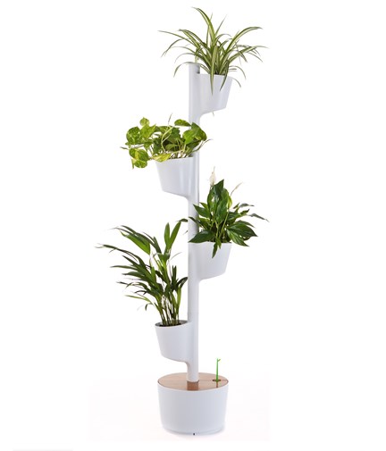 Jardinière verticale d'intérieur avec plantes purificatrices d'air