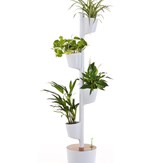Jardinière verticale d'intérieur avec plantes purificatrices d'air 5