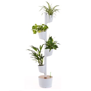 Jardinière verticale d'intérieur avec plantes purificatrices d'air