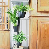 Jardinière verticale d'intérieur avec plantes purificatrices d'air 10
