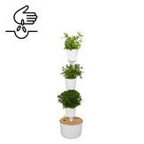 Jardinière verticale avec arrosage automatique et graines de plantes aromatiques 17