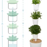 Jardinière verticale avec arrosage automatique et graines de plantes aromatiques 15