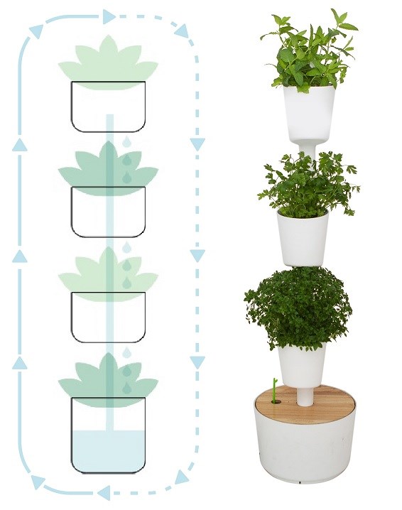 Jardinière verticale avec arrosage automatique et graines de plantes aromatiques 15