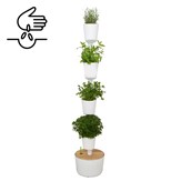 Jardinière verticale avec arrosage automatique et graines de plantes aromatiques 18