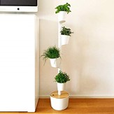 Jardinière verticale avec arrosage automatique et graines de plantes aromatiques 19