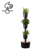 Jardinière verticale avec arrosage automatique et graines de plantes aromatiques 13