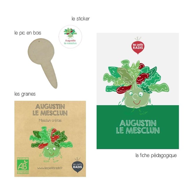 Mini-kit de semis - Graines de mesclun BIO - Augustin le mesclun 4