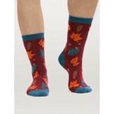 Coffret 4 paires chaussettes femme en bambou et coton bio - Thème automne - Taille unique 10