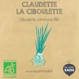 Mini-kit de semis - graines de ciboulette bio - Claudette la ciboulette 4