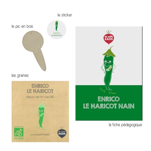 Mini-kit de semis - graines de haricots bio - Enrico le haricot nain 3