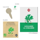 Mini-kit de semis - graines de coriandre bio - Alexandre la Coriandre 2
