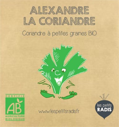 Mini-kit de semis - graines de coriandre bio - Alexandre la Coriandre 3