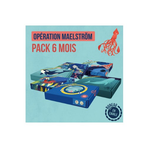 Enquête En Cavale - PACK 6 MOIS "Opération Maelström"