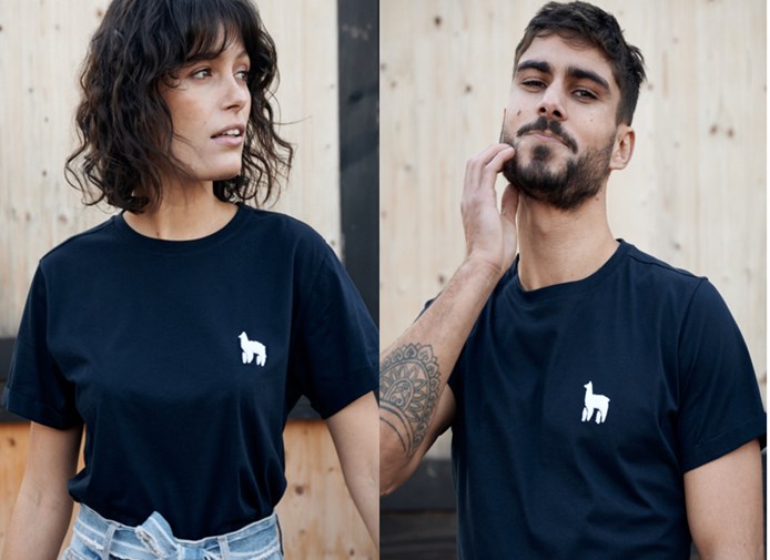 T-shirt Alpaca Marino - Unisexe   