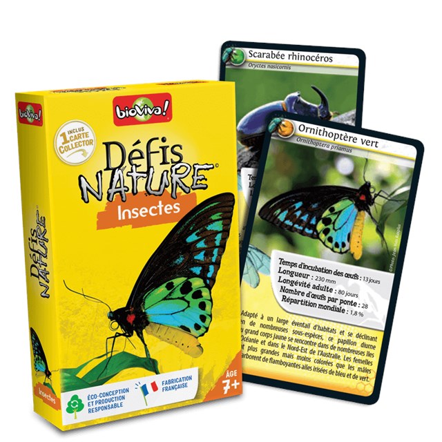 Bioviva - Défis Nature - Insectes 3