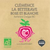 Mini-kit de semis - graines de betterave bio - Clémence la betterave rose et blanche 3