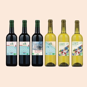 Coffret 6 bouteilles de Vin Bio - Blanc et Rouge